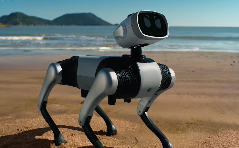 无需遥控的智能机器狗来了，9988元就能带回家