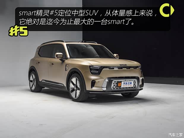 smart smart精灵#5 2024款 250kW 后驱基本型