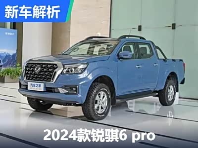 锐骐6 Pro工具型皮卡全面解析，奋斗路上的得力助手