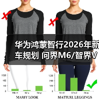 华为鸿蒙智行2026年新车规划 问界M6/智界V9等十（图4）