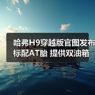 哈弗H9穿越版官图发布 标配AT胎 提供双油箱（图3）