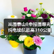 岚图泰山8申报图曝光 纯电续航最高310公里（图4）
