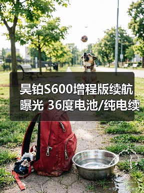 昊铂S600增程版续航曝光 36度电池/纯电续航180（图4）