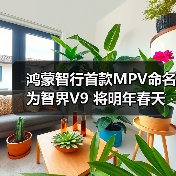 鸿蒙智行首款MPV命名为智界V9 将明年春天发布（图1）