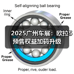 2025广州车展：欧拉5预售权益加码升级（图4）