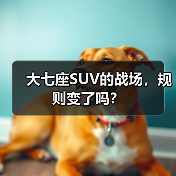 大七座SUV的战场，规则变了吗？（图1）