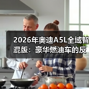 2026年奥迪A5L全域智混版：豪华燃油车的反常识拐点（图3）