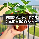 极寒测试过关，然后呢？东风与华为的这次合作不简单（图1）