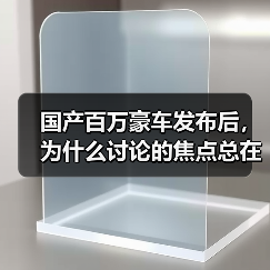 国产百万豪车发布后，为什么讨论的焦点总在别处？（图4）