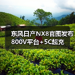 东风日产NX8官图发布 800V平台+5C超充(图2) 东风日产NX8官图发布 800V平台+5C超充(图2)