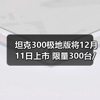坦克300极地版将12月11日上市 限量300台/汽油柴(图2) 坦克300极地版将12月11日上市 限量300台/汽油柴(图2)