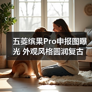 五菱缤果Pro申报图曝光 外观风格圆润复古(图1) 五菱缤果Pro申报图曝光 外观风格圆润复古(图1)