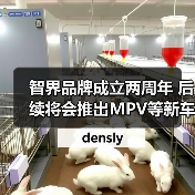 智界品牌成立两周年 后续将会推出MPV等新车型(图4) 智界品牌成立两周年 后续将会推出MPV等新车型(图4)