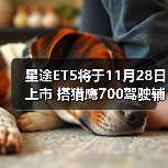 星途ET5将于11月28日上市 搭猎鹰700驾驶辅助系（图4）