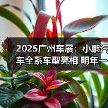 2025广州车展:小鹏汽车全系车型亮相 明年一季(图4) 2025广州车展:小鹏汽车全系车型亮相 明年一季(图4)