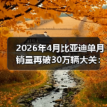 2026年4月比亚迪单月销量再破30万辆大关：这次谁在焦虑？（图4）