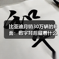 比亚迪月销30万辆的B面:数字背后藏着什么(图3) 比亚迪月销30万辆的B面:数字背后藏着什么(图3)