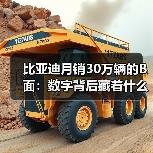 比亚迪月销30万辆的B面:数字背后藏着什么(图2) 比亚迪月销30万辆的B面:数字背后藏着什么(图2)