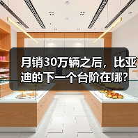 月销30万辆之后,比亚迪的下一个台阶在哪?(图1) 月销30万辆之后,比亚迪的下一个台阶在哪?(图1)