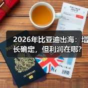 2026年比亚迪出海:增长确定,但利润在哪?(图3) 2026年比亚迪出海:增长确定,但利润在哪?(图3)