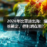 2026年比亚迪出海:增长确定,但利润在哪?(图1) 2026年比亚迪出海:增长确定,但利润在哪?(图1)