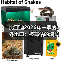 比亚迪2026年一季度海外出口:被高估的增长引擎?(图1) 比亚迪2026年一季度海外出口:被高估的增长引擎?(图1)