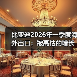 比亚迪2026年一季度海外出口:被高估的增长引擎?(图4) 比亚迪2026年一季度海外出口:被高估的增长引擎?(图4)