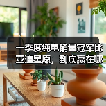 一季度纯电销量冠军比亚迪星愿,到底赢在哪里?(图4) 一季度纯电销量冠军比亚迪星愿,到底赢在哪里?(图4)
