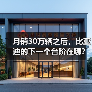 月销30万辆之后,比亚迪的下一个台阶在哪?(图3) 月销30万辆之后,比亚迪的下一个台阶在哪?(图3)