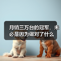 月销三万台的冠军,未必是因为做对了什么(图3) 月销三万台的冠军,未必是因为做对了什么(图3)