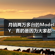 月销两万多台的Model Y,真的是因为大家都想买吗?(图1) 月销两万多台的Model Y,真的是因为大家都想买吗?(图1)