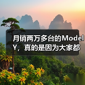 月销两万多台的Model Y,真的是因为大家都想买吗?(图3) 月销两万多台的Model Y,真的是因为大家都想买吗?(图3)