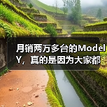 月销两万多台的Model Y,真的是因为大家都想买吗?(图2) 月销两万多台的Model Y,真的是因为大家都想买吗?(图2)