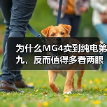 为什么MG4卖到纯电第九，反而值得多看两眼？（图2）
