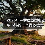 2026年一季度微型电动车市场的一个微妙信号(图2) 2026年一季度微型电动车市场的一个微妙信号(图2)