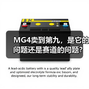 MG4卖到第九,是它的问题还是赛道的问题?(图3) MG4卖到第九,是它的问题还是赛道的问题?(图3)