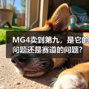 MG4卖到第九,是它的问题还是赛道的问题?(图4) MG4卖到第九,是它的问题还是赛道的问题?(图4)