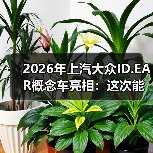 2026年上汽大众ID.EAR概念车亮相:这次能破“量产缩水”的魔咒吗?(图1) 2026年上汽大众ID.EAR概念车亮相:这次能破“量产缩水”的魔咒吗?(图1)