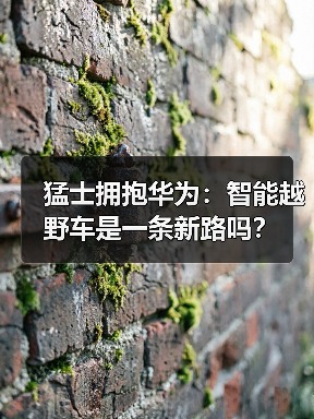 猛士拥抱华为:智能越野车是一条新路吗?(图1) 猛士拥抱华为:智能越野车是一条新路吗?(图1)