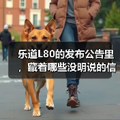 乐道L80的发布公告里，藏着哪些没明说的信号？（图1）