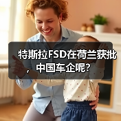 特斯拉FSD在荷兰获批,中国车企呢?(图2) 特斯拉FSD在荷兰获批,中国车企呢?(图2)