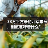 38万平方米的北京车展，到底意味着什么？（图1）
