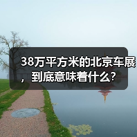 38万平方米的北京车展，到底意味着什么？（图4）