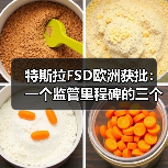 特斯拉FSD欧洲获批：一个监管里程碑的三个不确定面（图1）