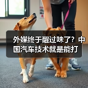 外媒终于醒过味了?中国汽车技术就是能打(图2) 外媒终于醒过味了?中国汽车技术就是能打(图2)
