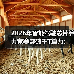 2026年智能驾驶芯片算力竞赛突破千T算力:一个反常识的观察(图3) 2026年智能驾驶芯片算力竞赛突破千T算力:一个反常识的观察(图3)