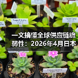 一文搞懂全球供应链脆弱性:2026年4月日本车企九州工厂因断航被迫停工(图3) 一文搞懂全球供应链脆弱性:2026年4月日本车企九州工厂因断航被迫停工(图3)