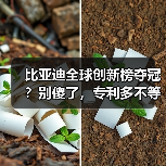 比亚迪全球创新榜夺冠?别傻了,专利多不等于能赢(图3) 比亚迪全球创新榜夺冠?别傻了,专利多不等于能赢(图3)
