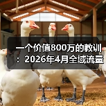 一个价值800万的教训:2026年4月全域流量跨界破圈成新车营销术(图1) 一个价值800万的教训:2026年4月全域流量跨界破圈成新车营销术(图1)