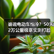 谁说电动车怕冷?50天2万公里极寒实测打脸了吗?(图3) 谁说电动车怕冷?50天2万公里极寒实测打脸了吗?(图3)